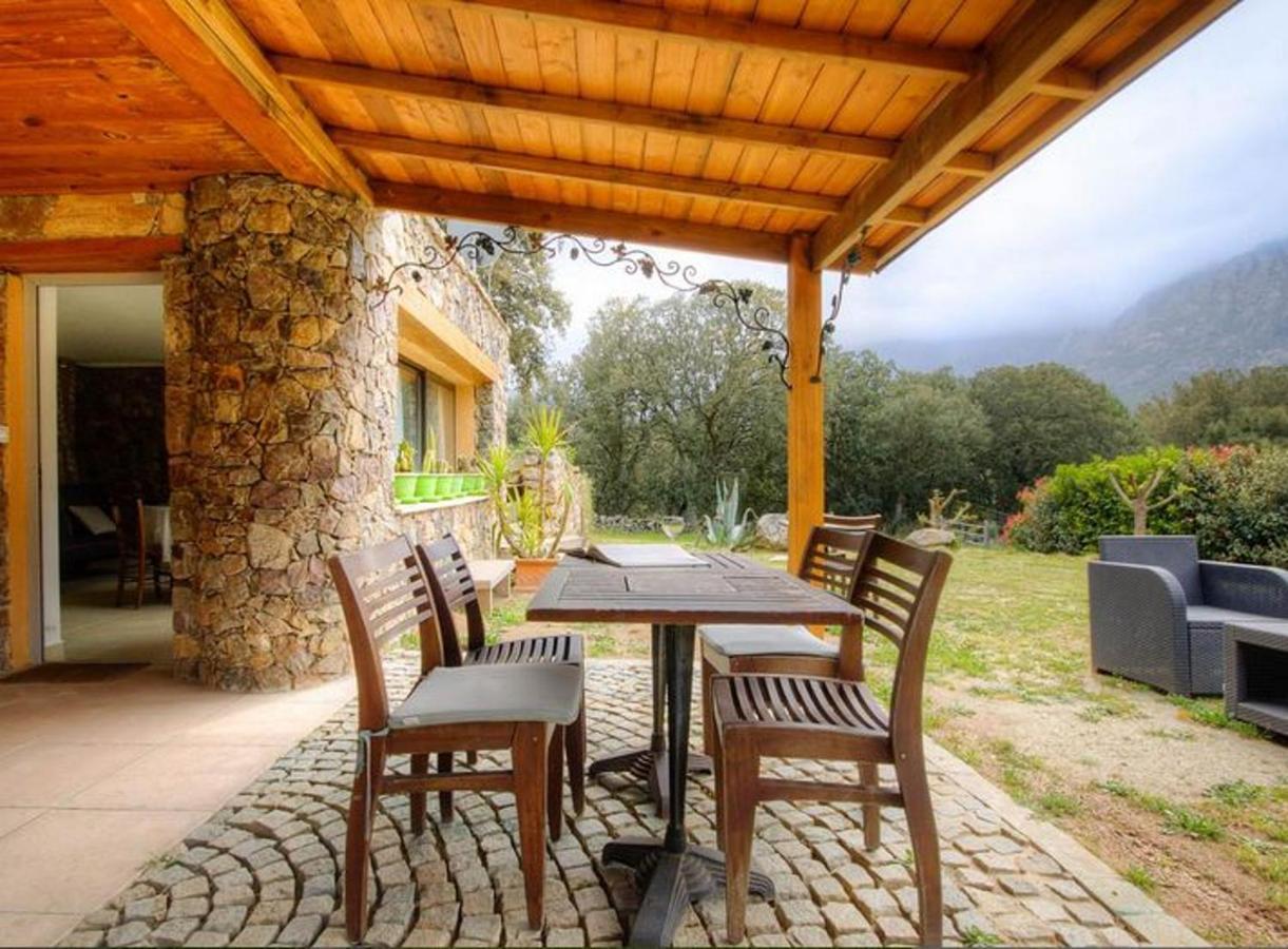 Studio Confortable Avec Vue Sur La Montagne A Moltifao 30M² Jardin Zewnętrze zdjęcie