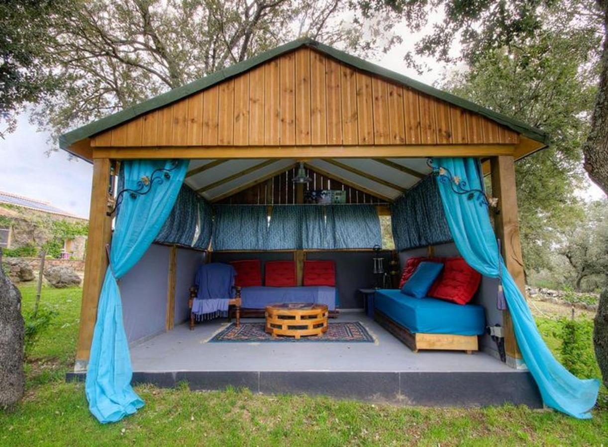 Studio Confortable Avec Vue Sur La Montagne A Moltifao 30M² Jardin Zewnętrze zdjęcie
