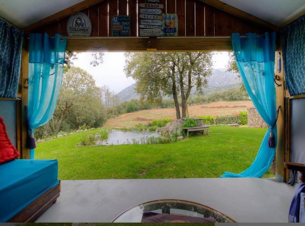Studio Confortable Avec Vue Sur La Montagne A Moltifao 30M² Jardin Zewnętrze zdjęcie