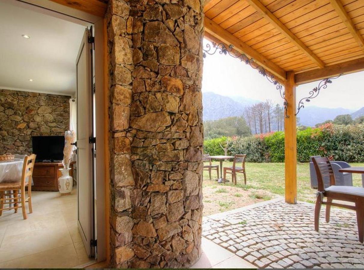Studio Confortable Avec Vue Sur La Montagne A Moltifao 30M² Jardin Zewnętrze zdjęcie