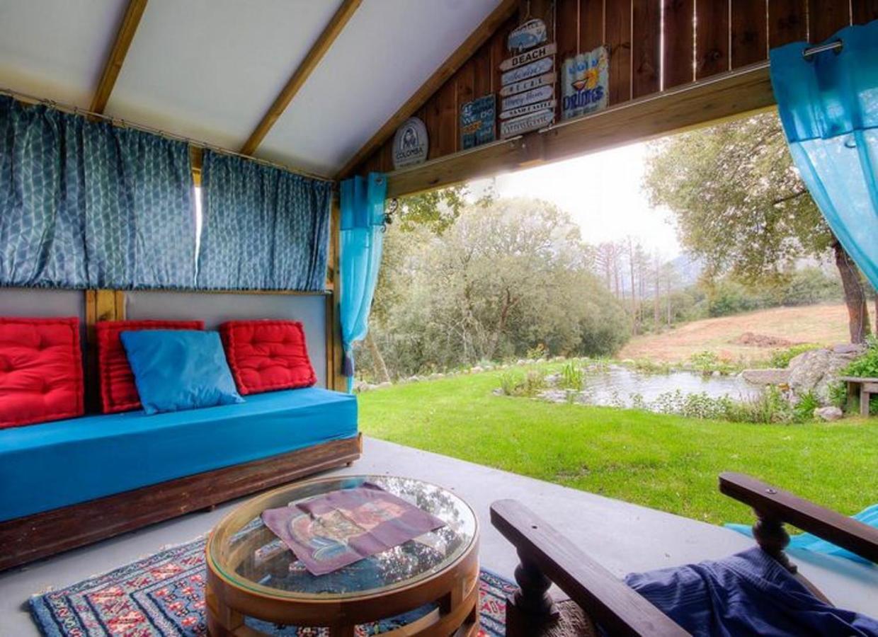 Studio Confortable Avec Vue Sur La Montagne A Moltifao 30M² Jardin Zewnętrze zdjęcie