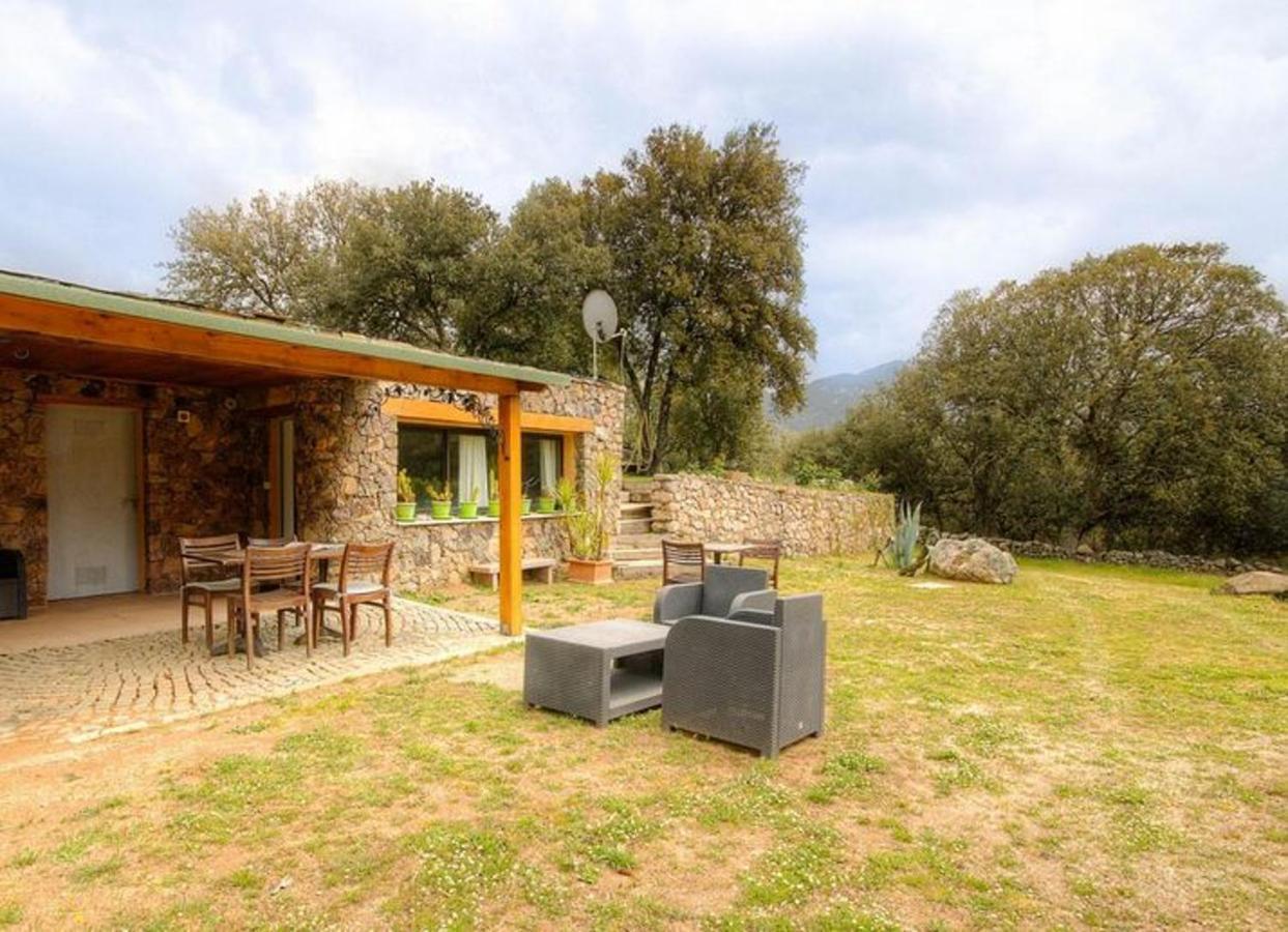 Studio Confortable Avec Vue Sur La Montagne A Moltifao 30M² Jardin Zewnętrze zdjęcie